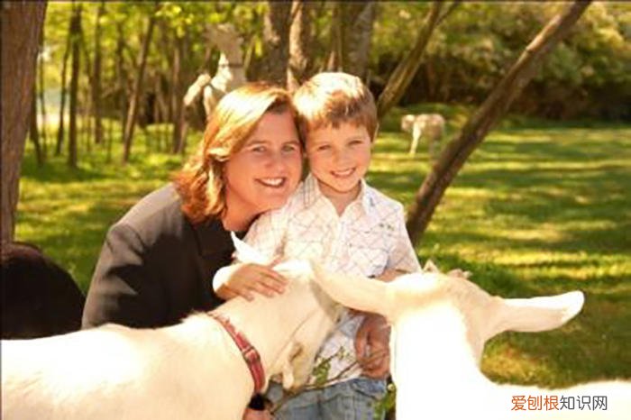 比利山羊奶皂，山羊奶皂什么牌子好