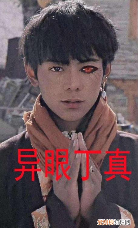 义眼丁真鉴定为真是什么梗 一眼丁真是什么梗