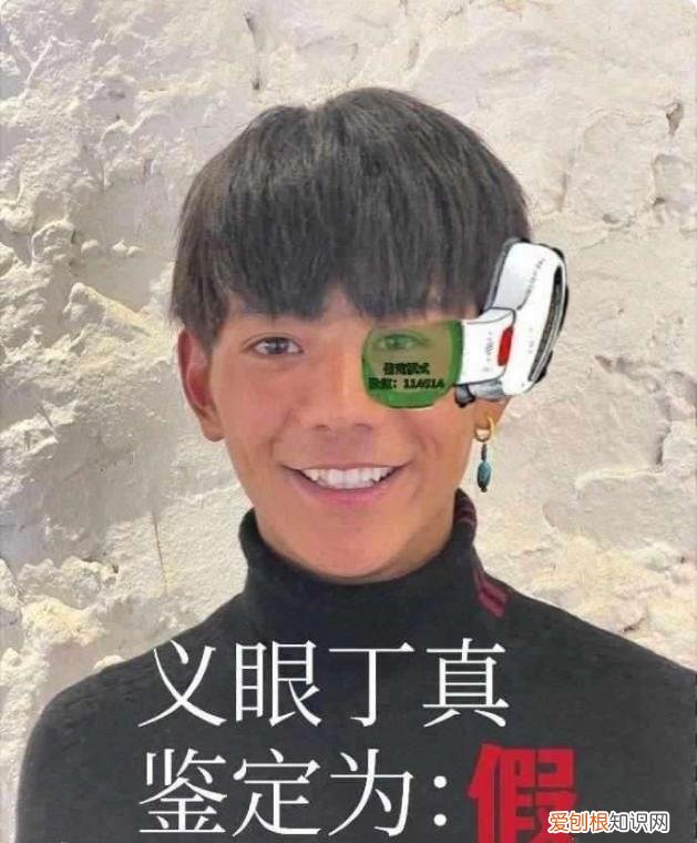 义眼丁真鉴定为真是什么梗 一眼丁真是什么梗