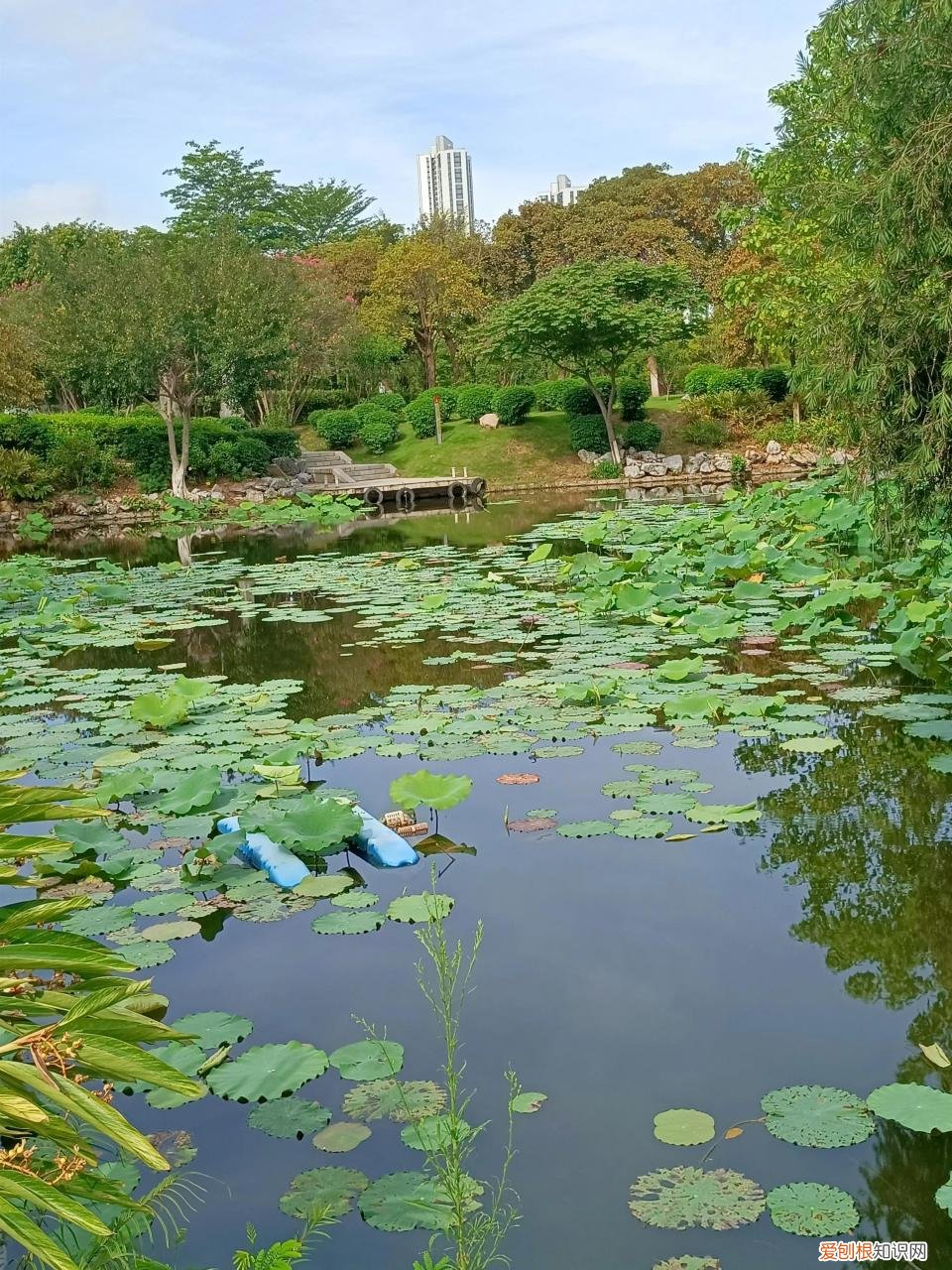 为什么疫情越来越严重了,为什么疫情越来越严重了什么原因