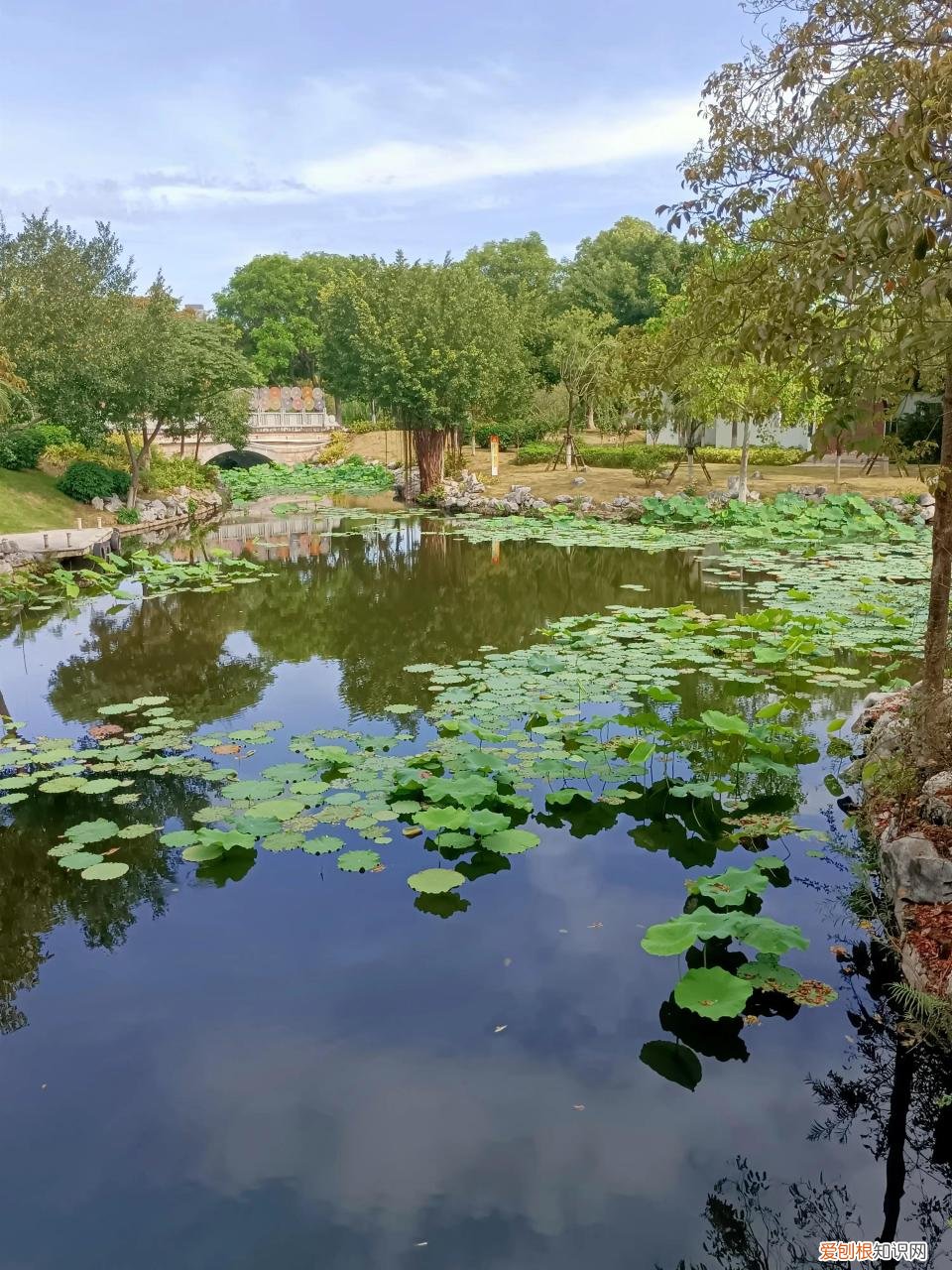 为什么疫情越来越严重了,为什么疫情越来越严重了什么原因