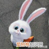 少女的世界在线观看218,少女的世界电影简介