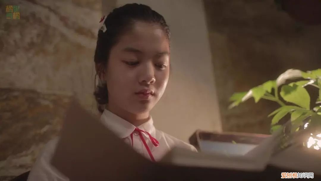 少女的世界在线观看218,少女的世界电影简介