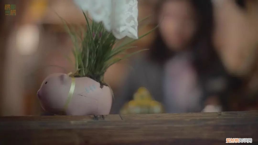 少女的世界在线观看218，少女的世界电影简介