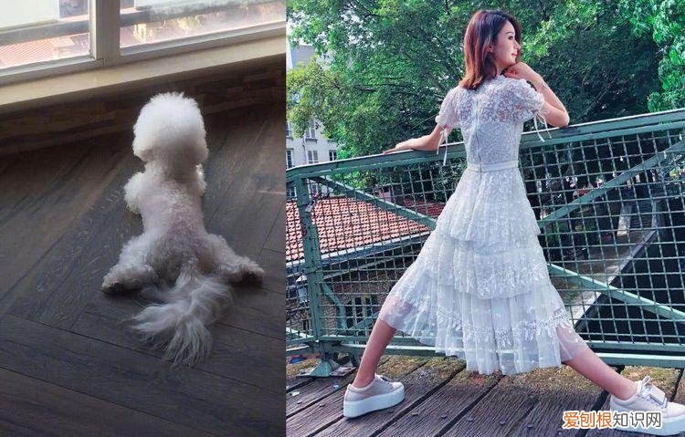 这些原因让人唏嘘不已 赵丽颖和冯绍峰为什么离的婚