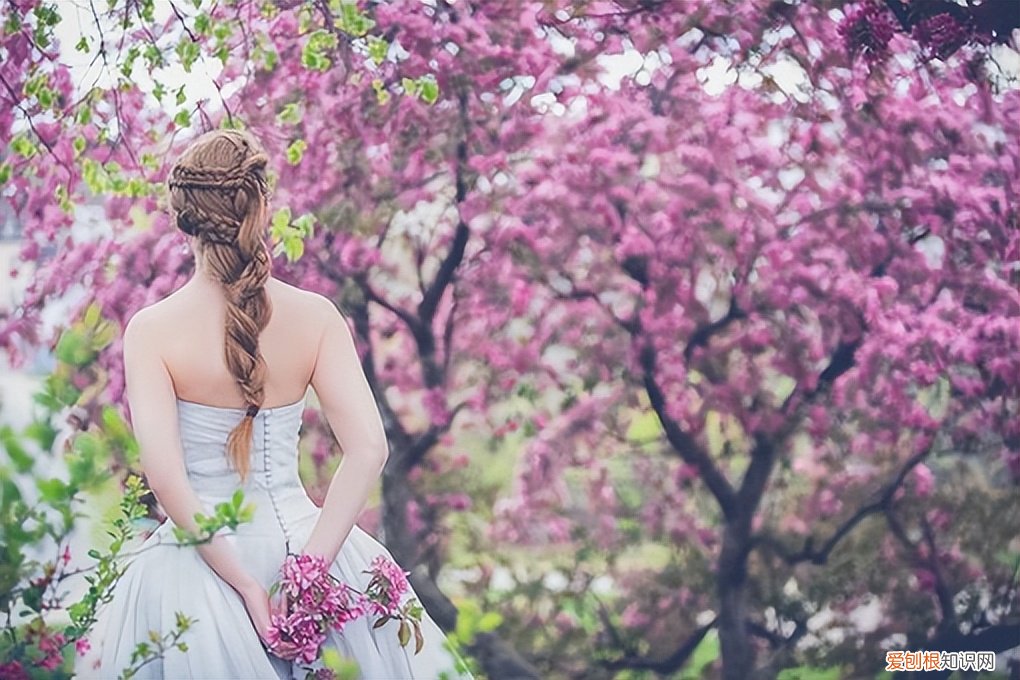 钱的现实感悟金钱与感情的说说，金钱和感情的句子