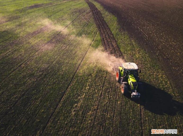 农业可行性报告，黔江能写可行性报告公