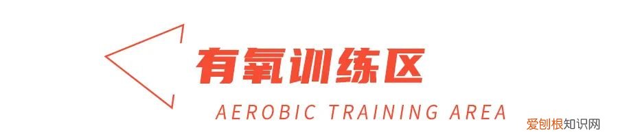 离我最近的减肥训练营，巅峰减重价目表