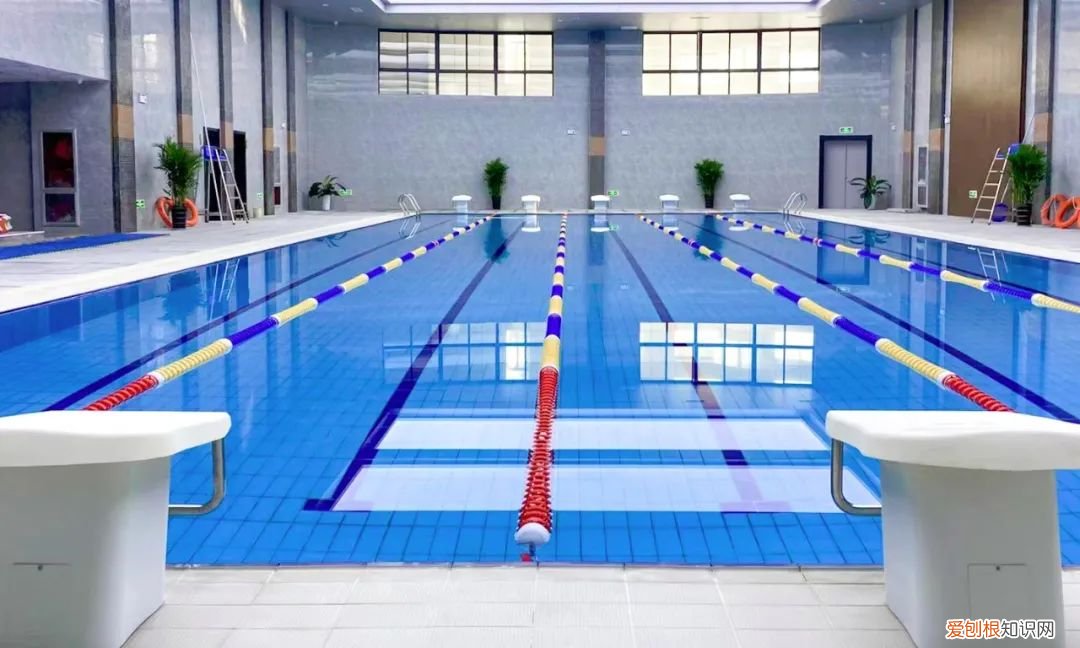 离我最近的减肥训练营，巅峰减重价目表