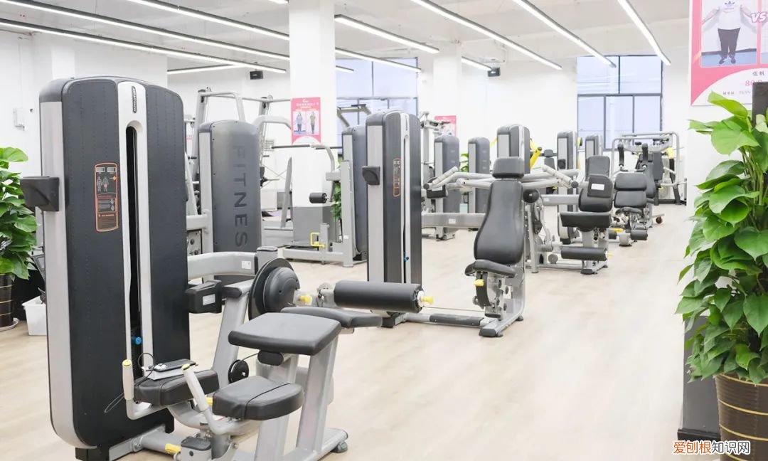 离我最近的减肥训练营，巅峰减重价目表