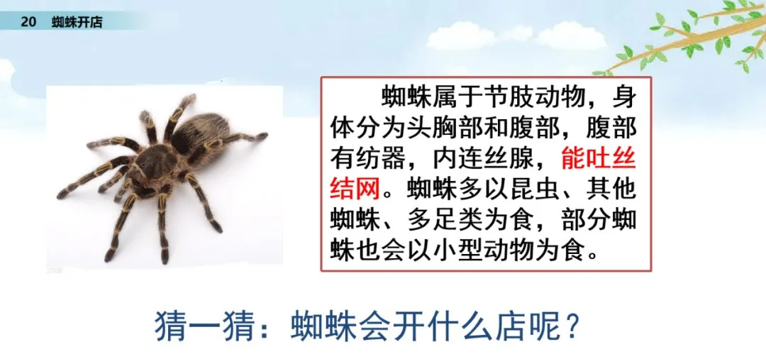 颈组词，颈组词2个字