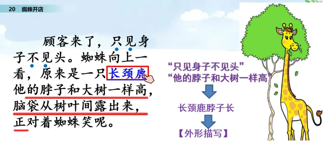 颈组词，颈组词2个字