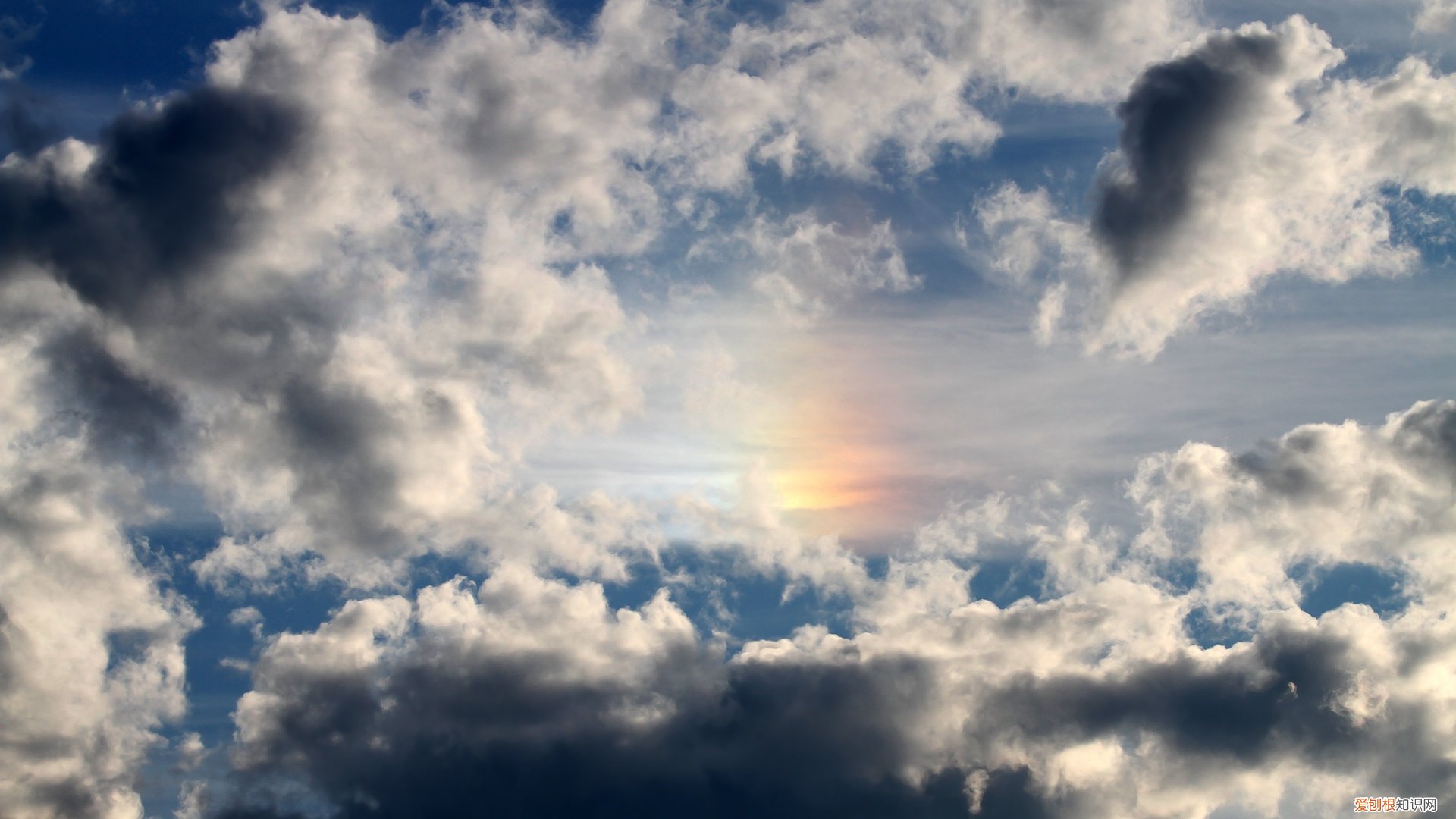 用什么办法去找肉太岁 太岁是什么东西