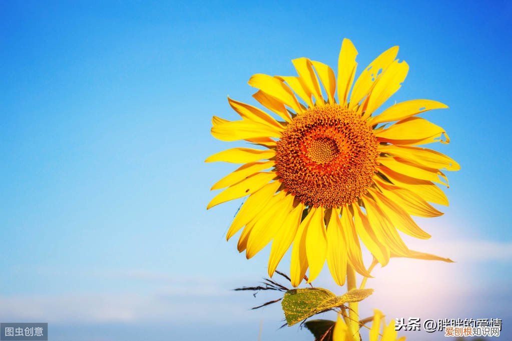 只要,也能,造句，宁可,也不,造句