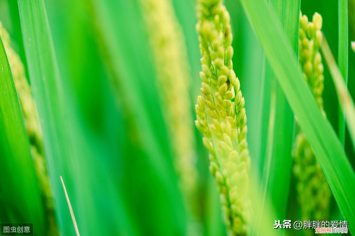 只要,也能,造句，宁可,也不,造句