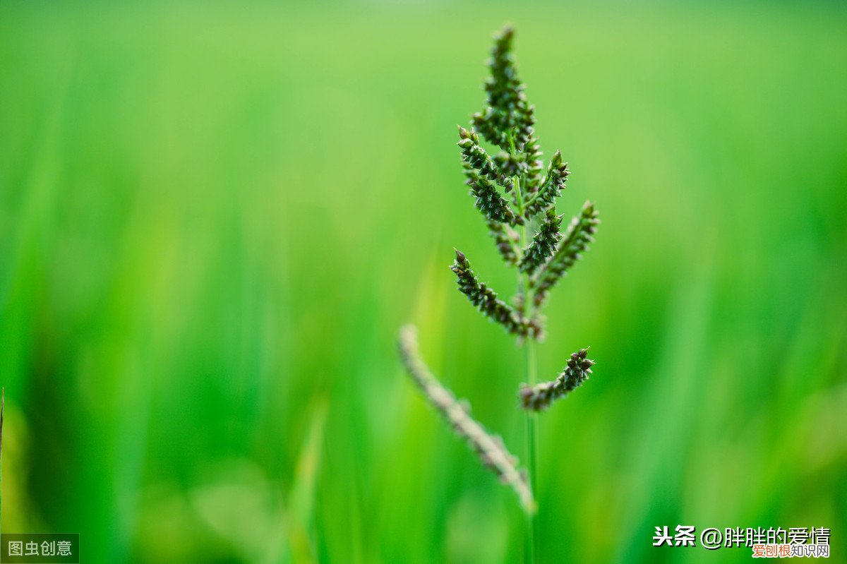 只要,也能,造句，宁可,也不,造句