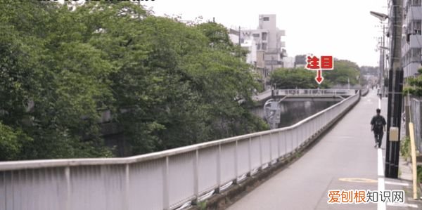 Moodyz旗下的2021年度人气王 明日見未来