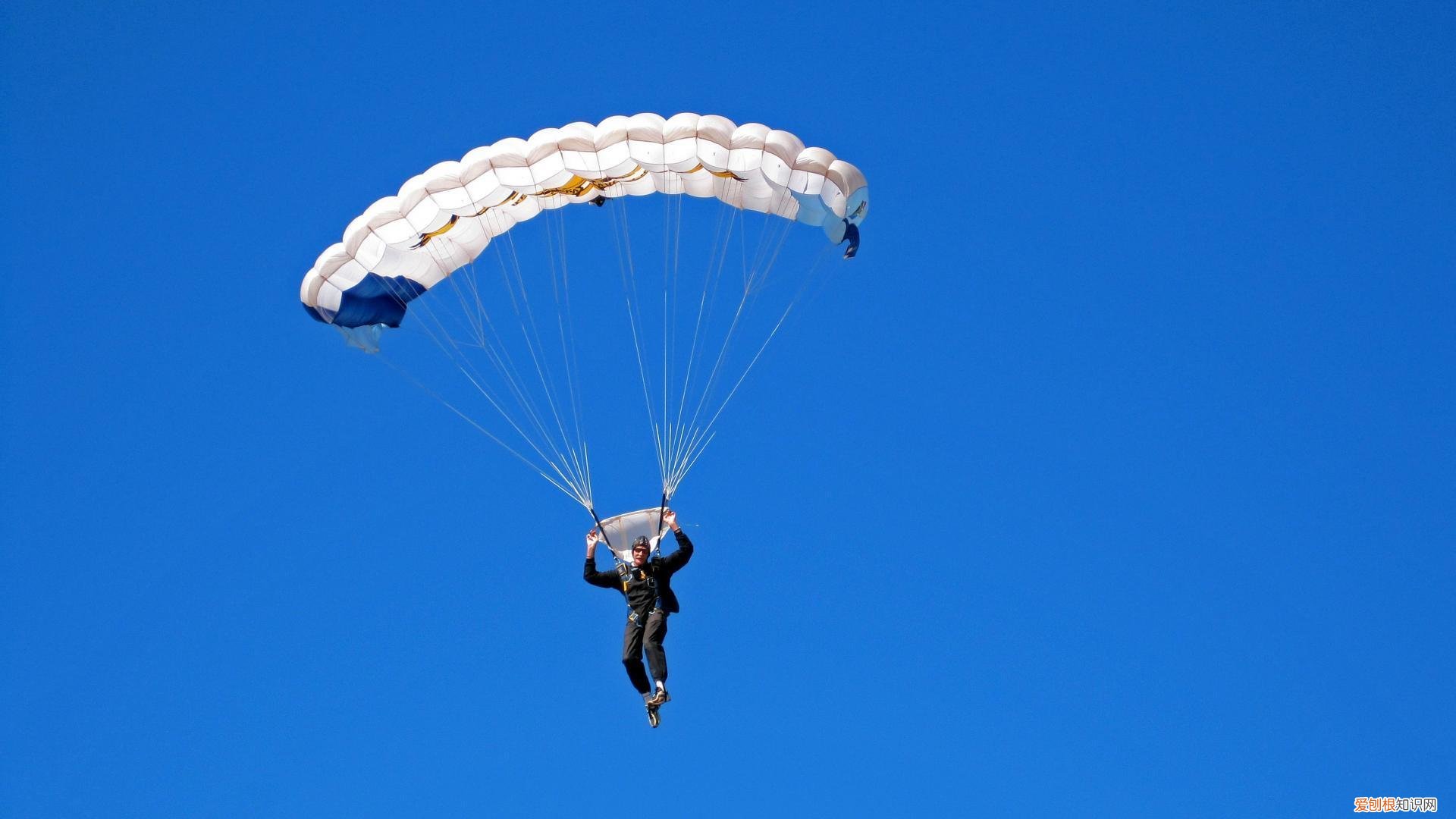 深圳成人大学有哪些学校，正规的成考教育机构
