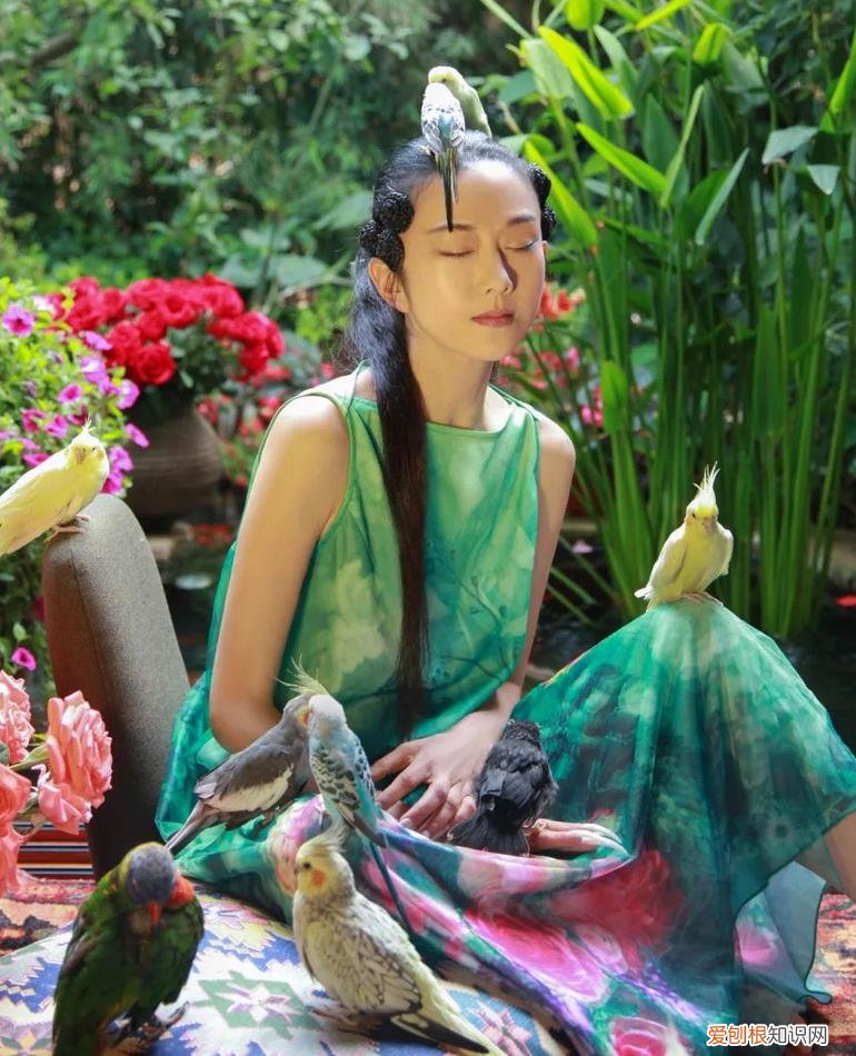 真实原因令人心酸 杨丽萍为什么总戴帽子