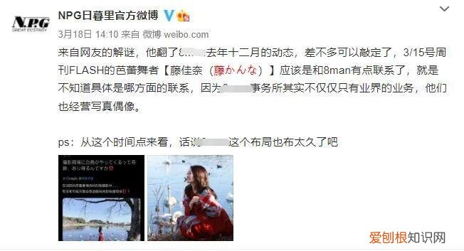 社交账户被恶意投诉到冻结 白石茉莉奈最近怎么样了