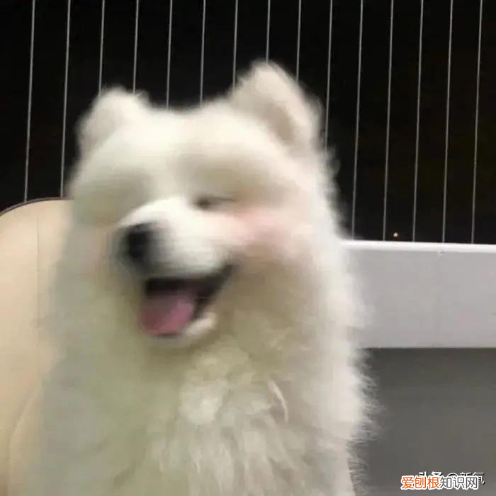 谈恋爱男生为什么会越来越丑，女人谈恋爱变丑的原因