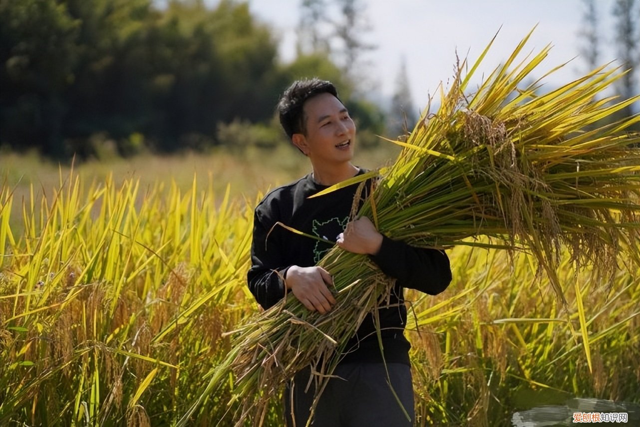 林生斌最新近情况官方消息 林生斌事件的最新进展2022年