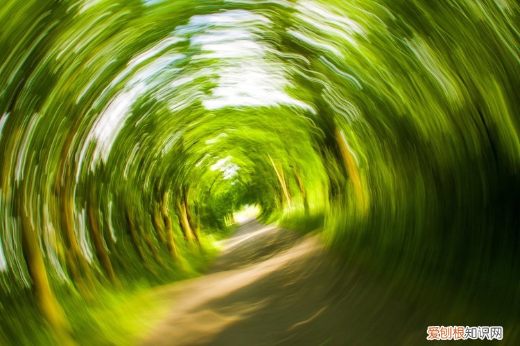 教你一招马上治愈 耳石症快速自愈方法