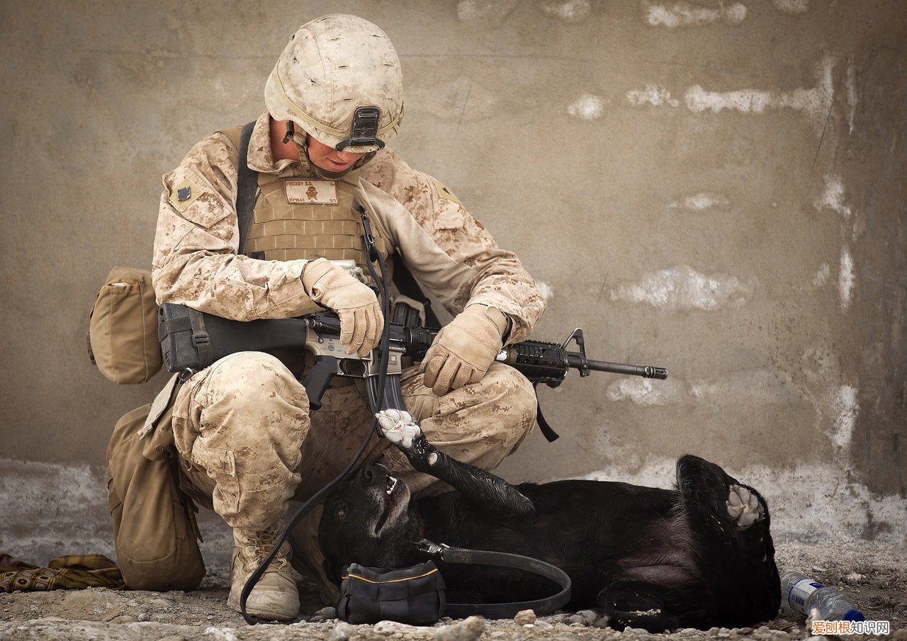 对俄罗斯人来说意味非凡 喀秋莎是什么意思