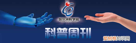 一些容易做的科学小实验，简单自制小实验