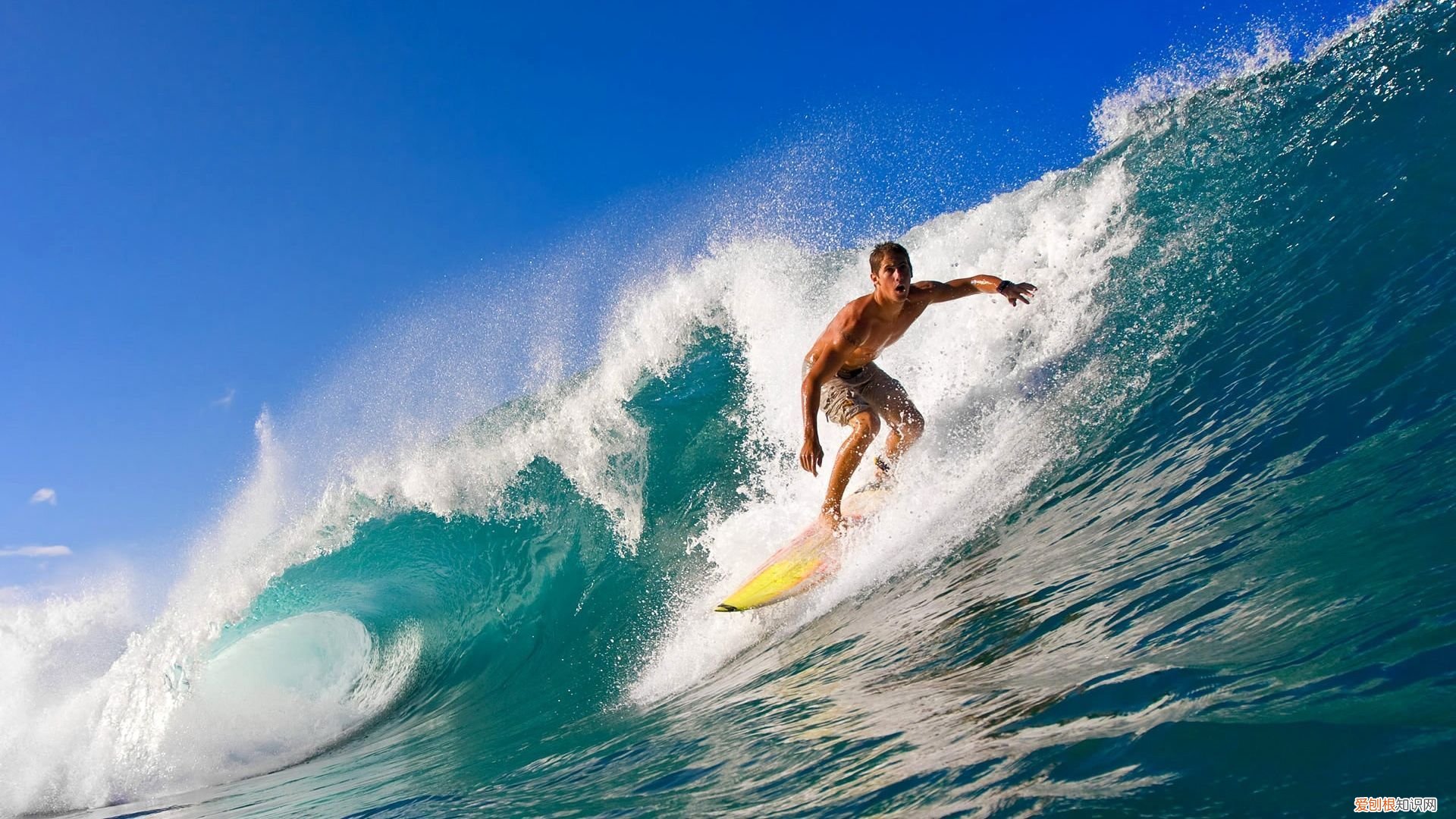 哪种电池未来有发展前景，镍氢电池有哪些优缺点