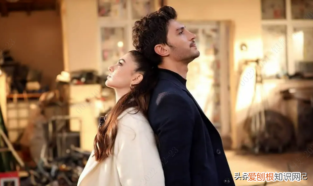 最新土耳其电视剧霸道总裁,霸道冷总裁电视剧大全