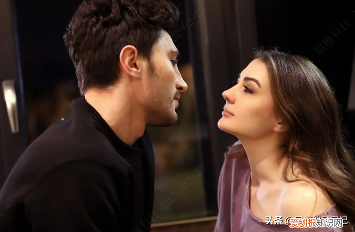 最新土耳其电视剧霸道总裁,霸道冷总裁电视剧大全