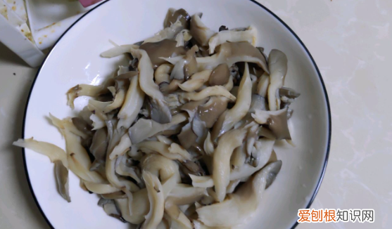 蘑菇的家常做法，干蘑菇的做法大全家常菜窍门