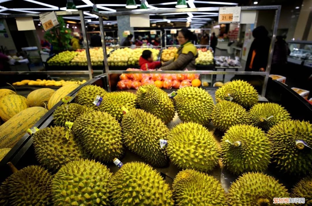 水果属于什么类，水果属于什么品