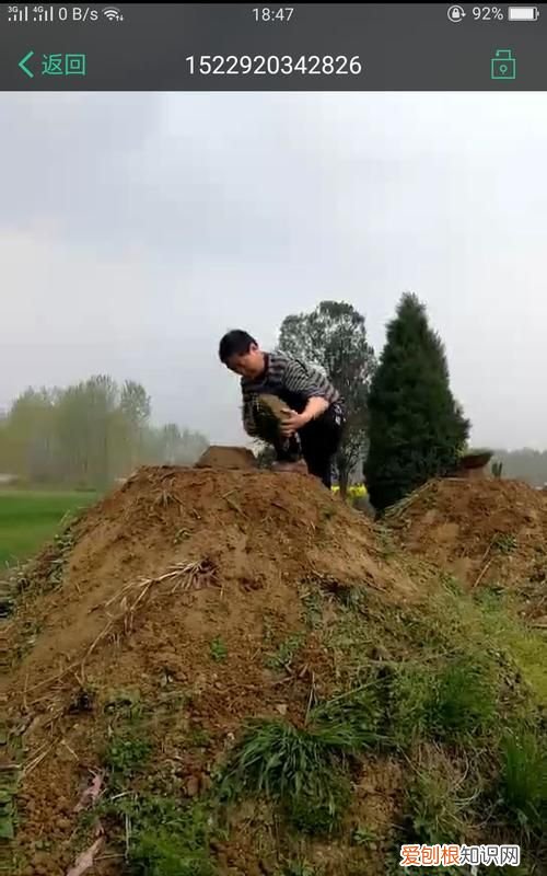 清明节前哪天垒坟好 清明节前什么时候垒坟好