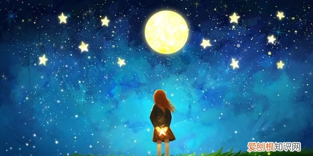 鲸落于海,星沉于洼 风隐于密林,蝉鸣漏进夏至