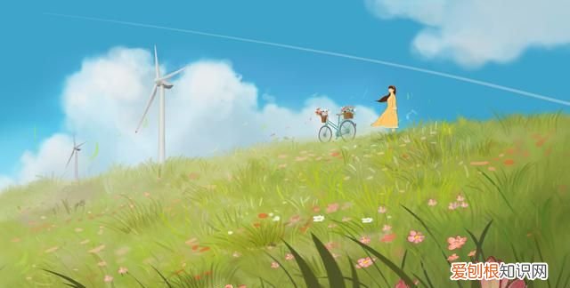 鲸落于海,星沉于洼 风隐于密林,蝉鸣漏进夏至