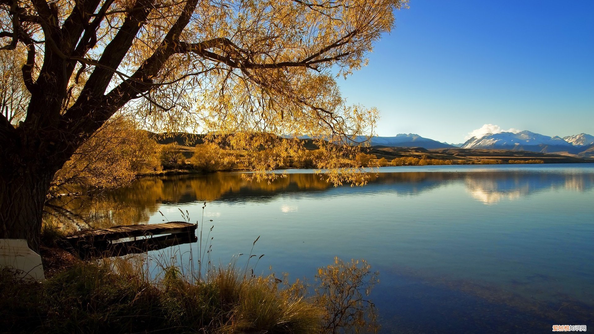 网上算命会不会泄露信息，网络算命会被利用吗