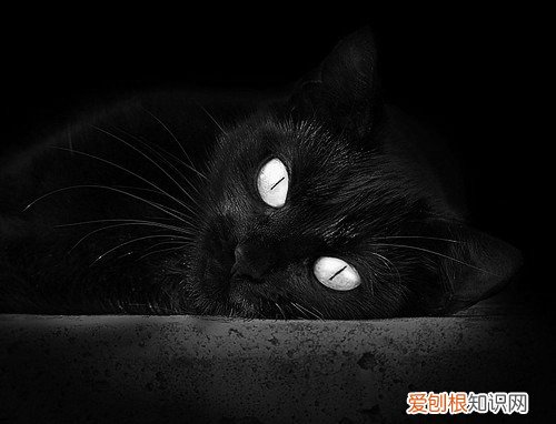 网上算命会不会泄露信息，算八字不会泄露