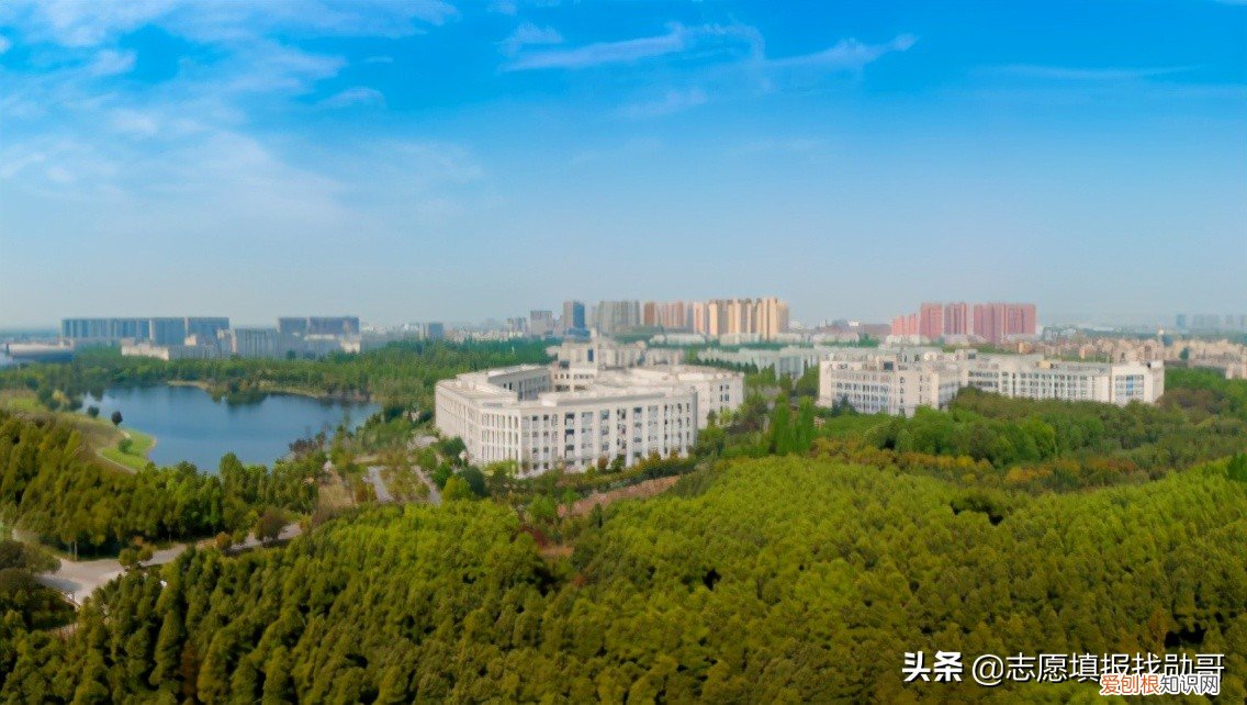 电子科技大学张勇，4所电子科技大学