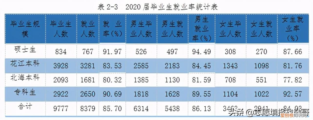 电子科技大学张勇，4所电子科技大学