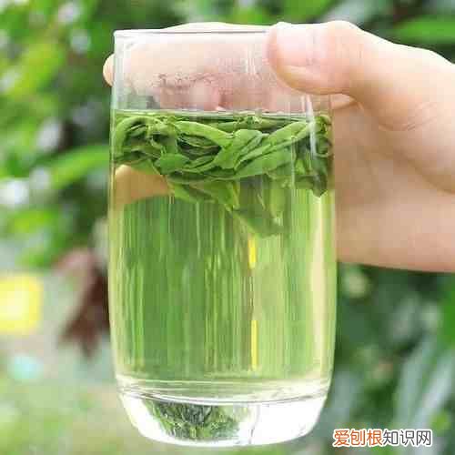 十大绿茶有哪些品种 绿茶有哪些品种