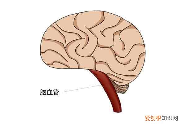 面瘫是怎么发生的 面瘫是什么原因引起的