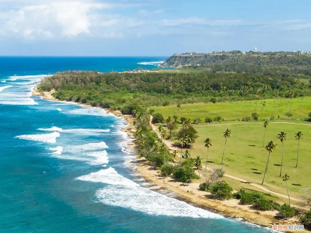 波多黎各属于哪个国家,8开头号码是哪个国家