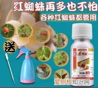 花露水可以去螨虫，花露水可以给月季当杀虫剂