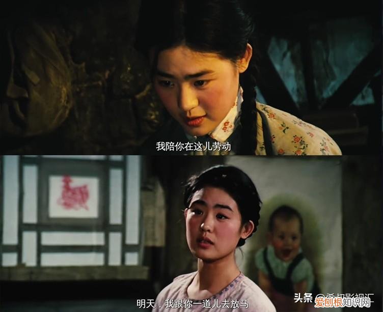 四十年后，《牧马人》再回首