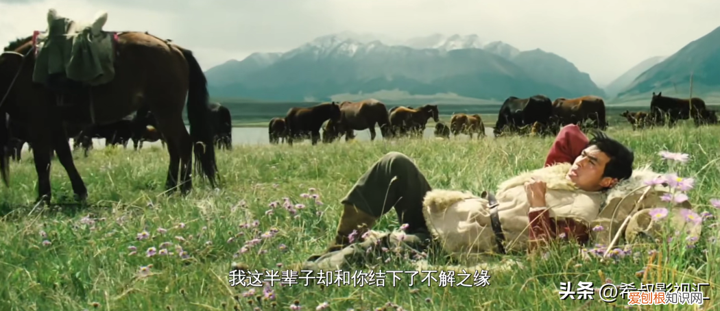 四十年后，《牧马人》再回首