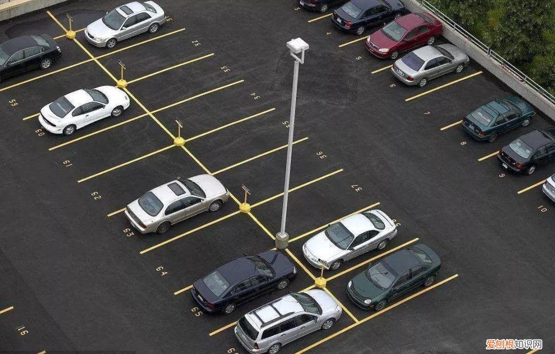 浙江“斥巨资250亿”打造景区,面积是迪士尼的6倍,零门票入园