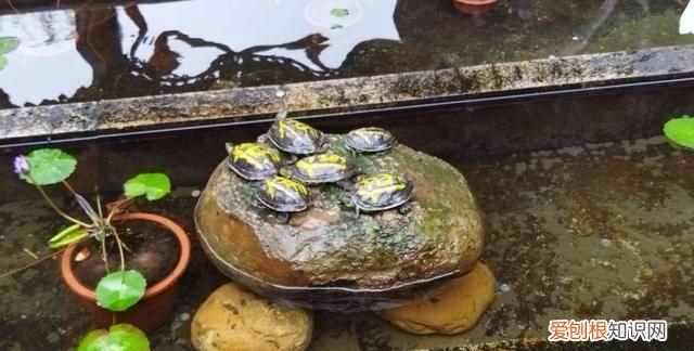 redmi note 9 4g 怎么样