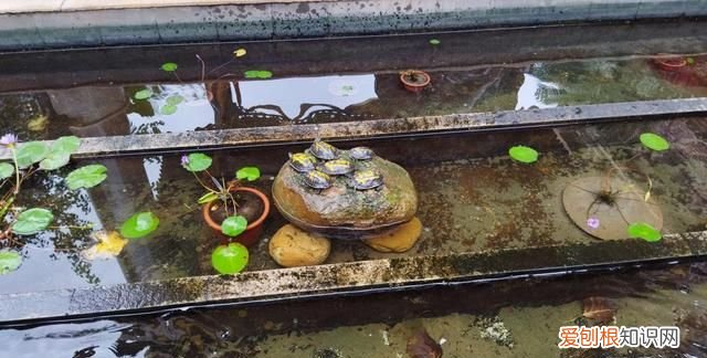 redmi note 9 4g 怎么样